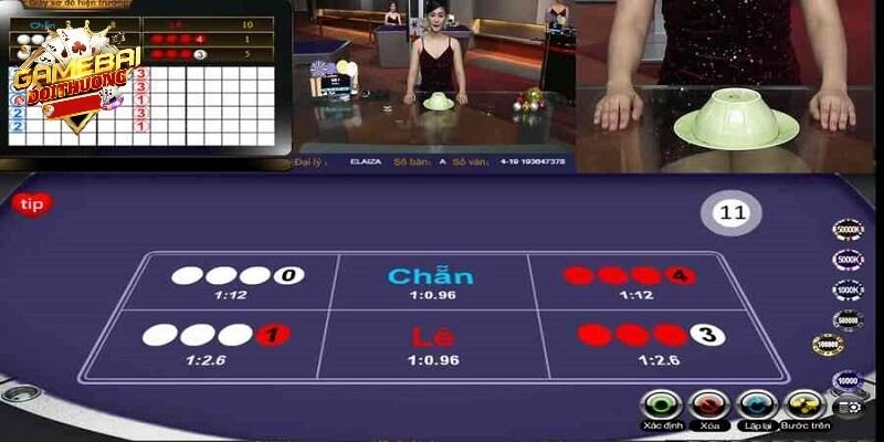 Giới thiệu khái quát về xóc đĩa mini